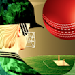 Cricket Fly x Gamifly APK